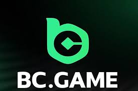 Understanding BC Game’s Terms and Conditions