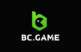 Understanding BC.Game India Terms & Conditions 969549785