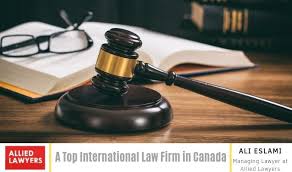 Understanding the Role of International Lawyers in a Globalized World