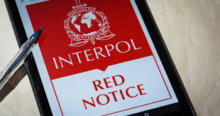 Understanding the Role of Interpol Lawyers in Global Crime Prevention 1335363863