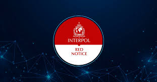 Understanding the Role of Red Notice Removal Lawyers 1331887910