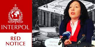 Understanding the Role of Red Notice Removal Lawyers 1331887910