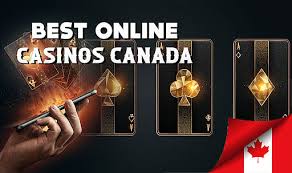 Top Live Casinos Experience the Thrill of Real-Time Gaming Top Live Casinos Experience the Thrill of Real-Time Gaming